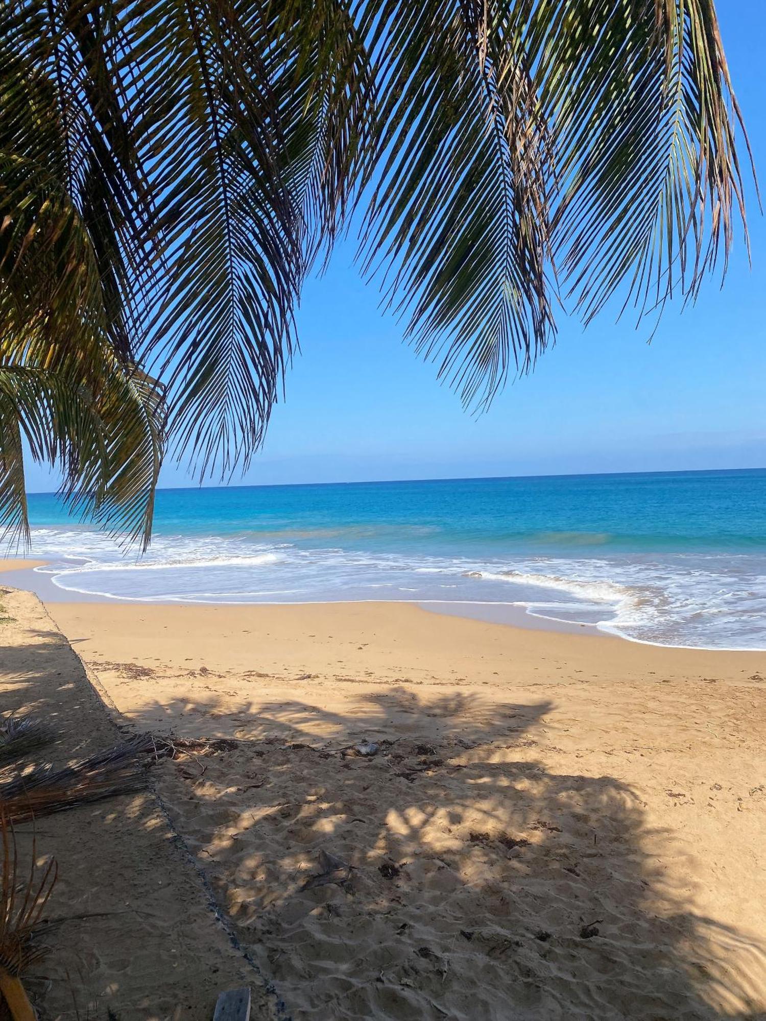 Charmant Bungalow Tout Confort Climatise - Terrasse Et Acces Plage ! 德赛 外观 照片